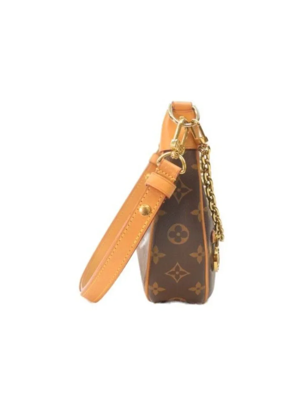 Louis Vuitton Monogram Loop Shoulder Bag
